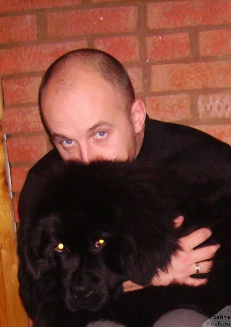 Фото: Aleksey Nistratov (Алексей Нистратов), ньюфаундленд Ih Vyisochestvo Vladlena Madjiks (Их Высочество Владлена Маджикс)