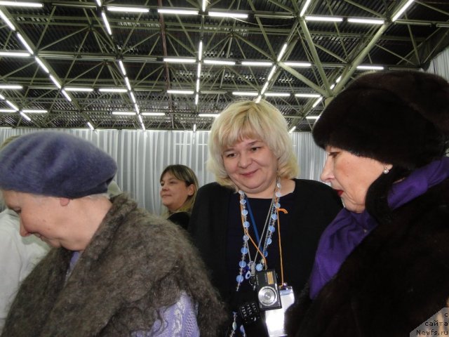 Фотография № 58161