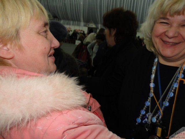 Фотография № 58162