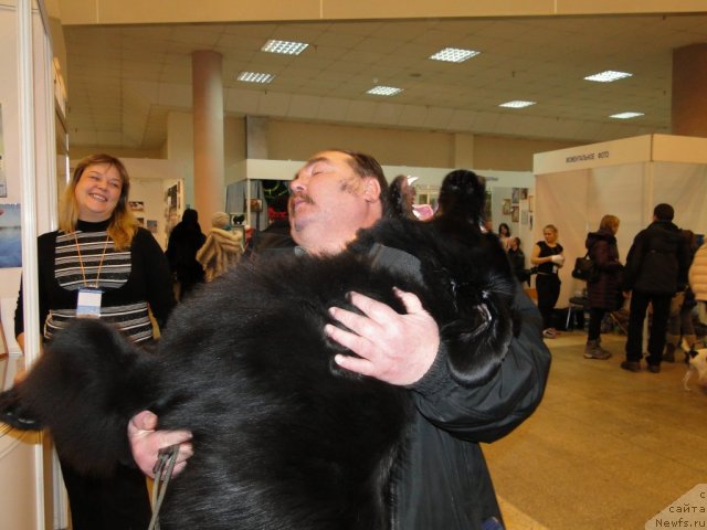 Фотография № 58167