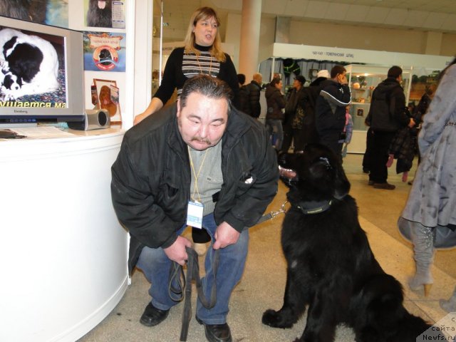 Фотография № 58168