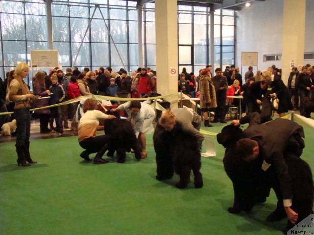 Фотография № 58173