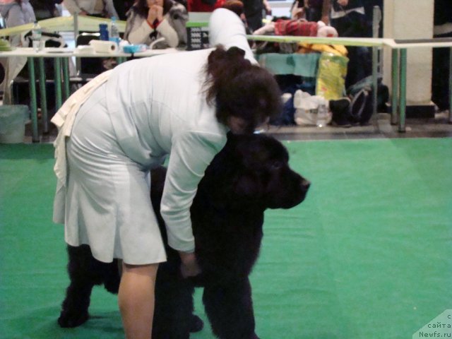 Фотография № 58174