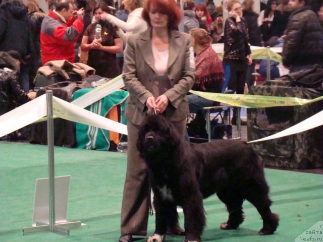 Фотография № 58182