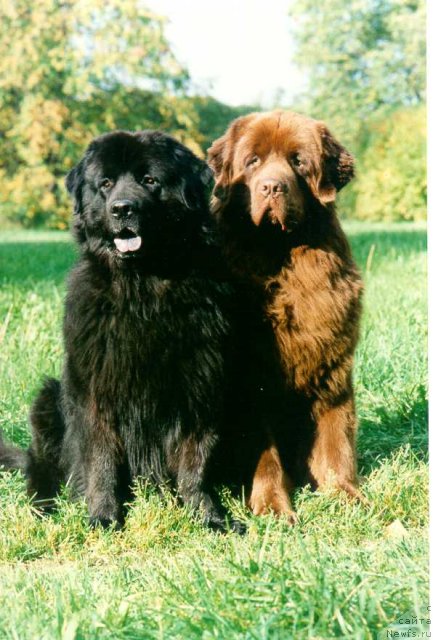 Фотография № 58188