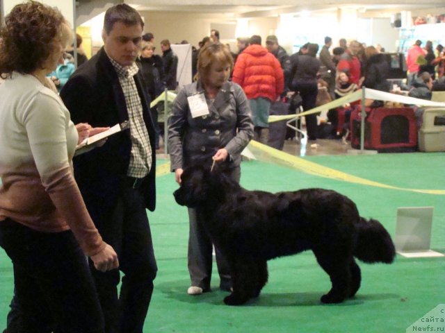 Фотография № 58189