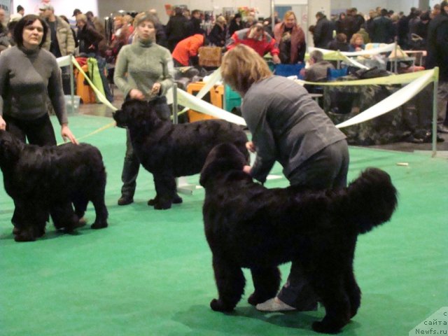 Фотография № 58191