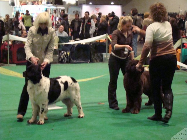 Фотография № 58192