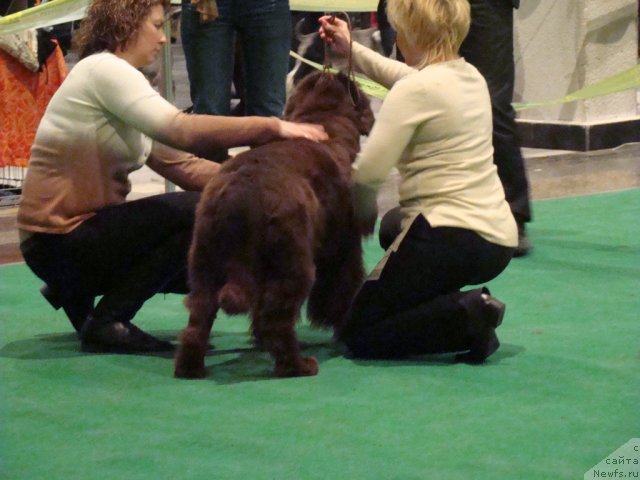 Фотография № 58195