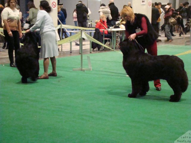 Фотография № 58197