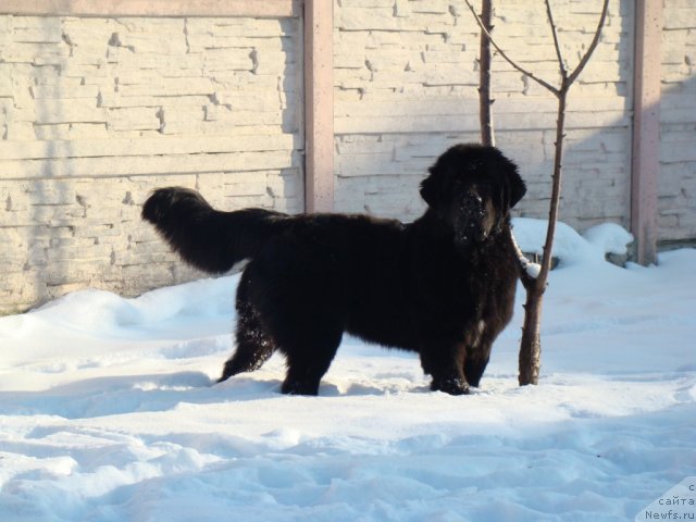 Фотография № 58206