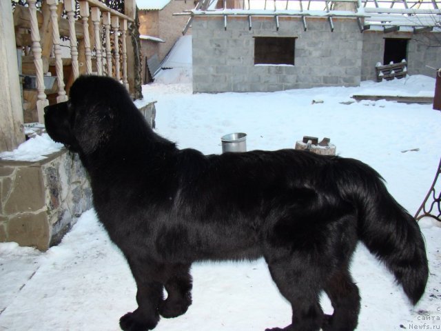 Фотография № 58221