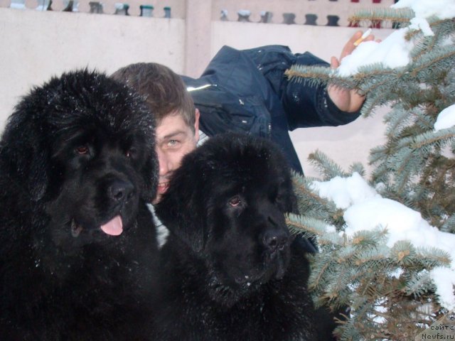 Фотография № 58222