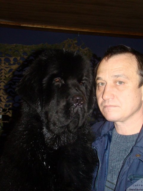 Фотография № 58227