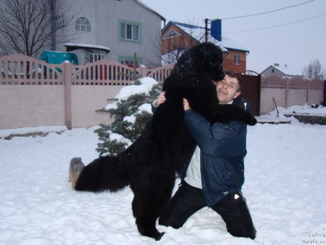 Фотография № 58228