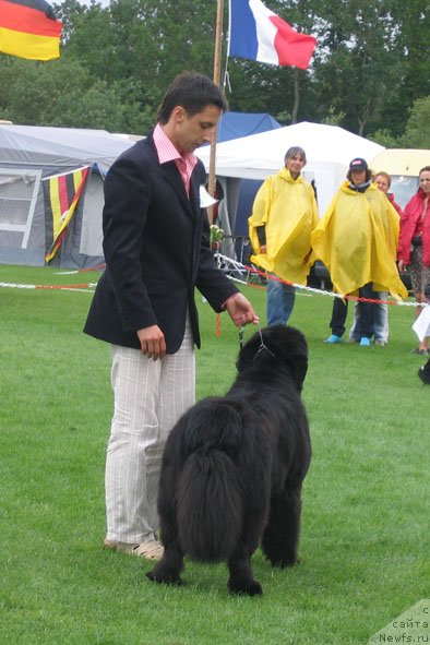 Фотография № 58279