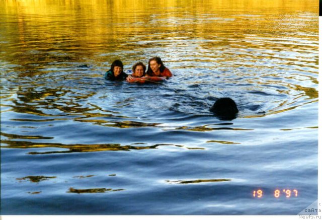 Фотография № 58293