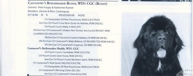 Фотография № 58299