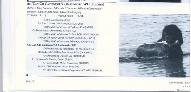 Фотография № 58300