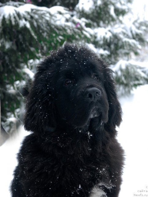 Фотография № 58310