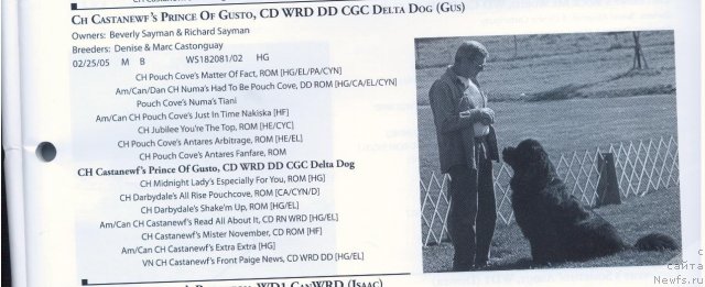 Фотография № 58313