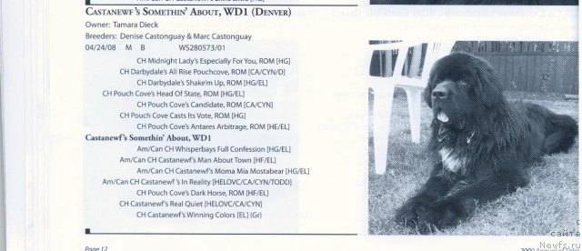 Фотография № 58319