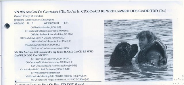 Фотография № 58320