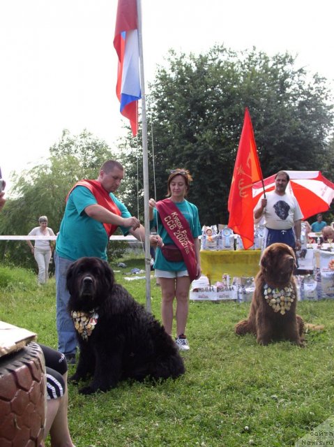 Фото: ньюфаундленд Jadar (Жадар), Aleksandr Bespechnyiy (Александр Беспечный), Ol'ga Koroleva (Ольга Королева), ньюфаундленд Smigar Sven Brown (Смигар Свен Браун), Igor' Mihaylov (Игорь Михайлов)