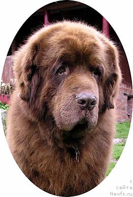 Фотография № 58338