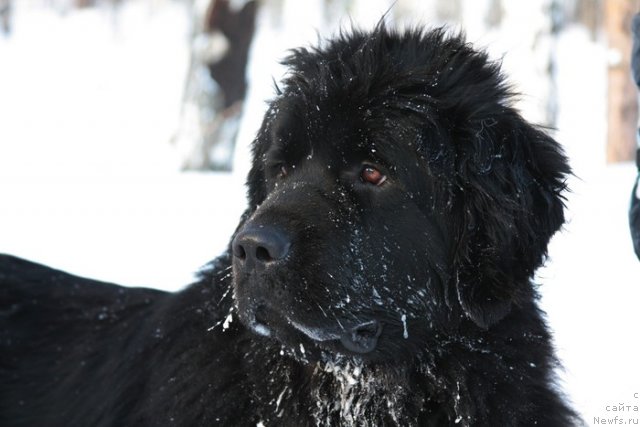 Фотография № 58339