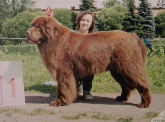 Фотография № 58345