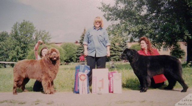 Фотография № 58346