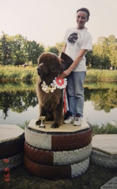 Фотография № 58347