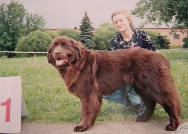 Фотография № 58348