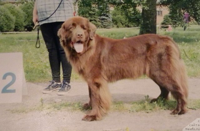 Фотография № 58349