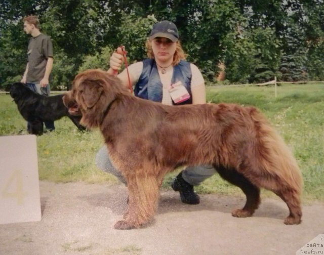 Фотография № 58350