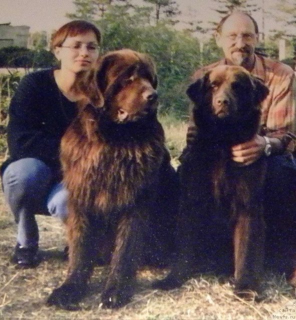 Фотография № 58358