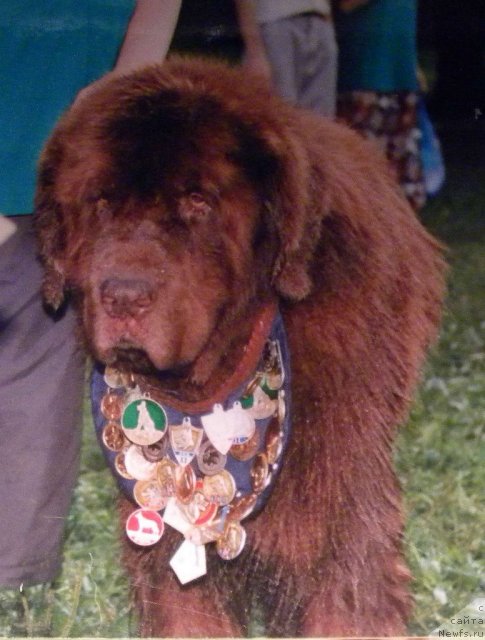 Фотография № 58361