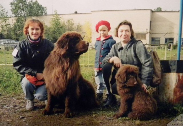 Фотография № 58362