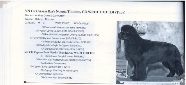 Фотография № 58368