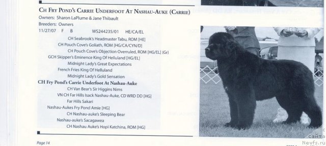 Фотография № 58371