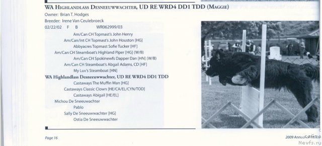 Фотография № 58382