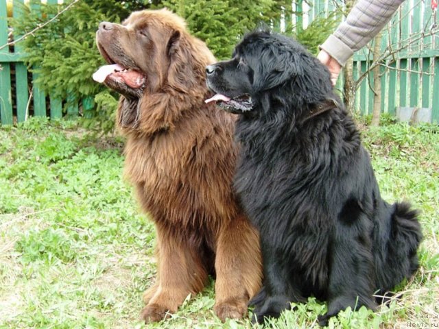 Фотография № 58390