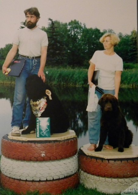 Фотография № 58391