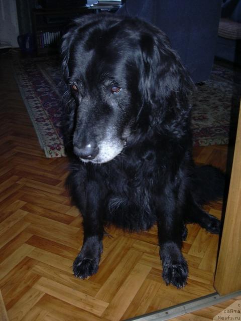 Фото: Dar'ya Terent'eva (Дарья Терентьева)