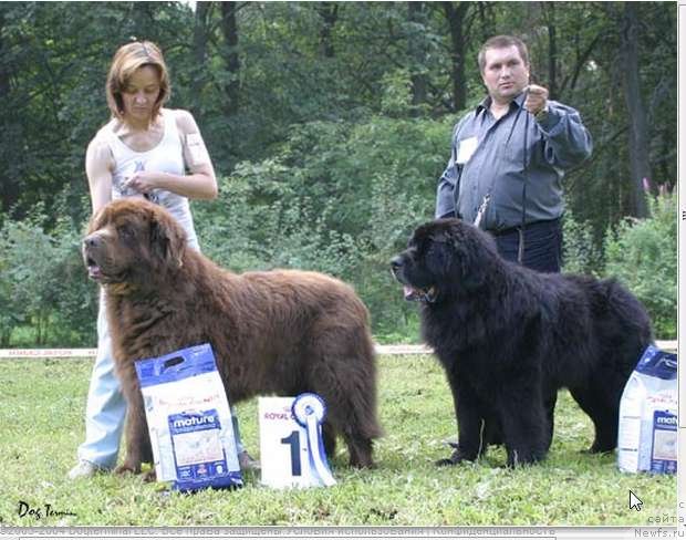 Фотография № 58474