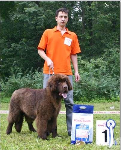 Фотография № 58478