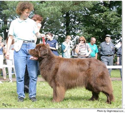 Фотография № 58480