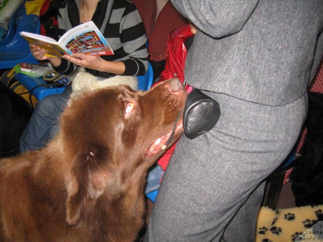 Фото: Vladimir Medvedev (Владимир Медведев)