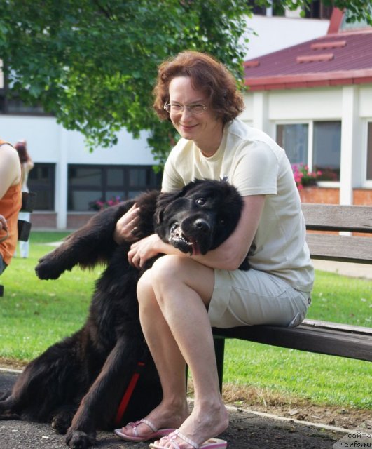 Фото: ньюфаундленд Beguschaya po Volnam Samo Sovershenstvo (Бегущая по Волнам Само Совершенство), Галина Акулина